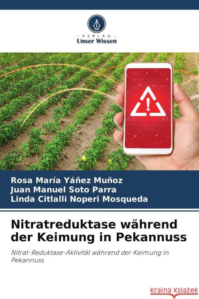 Nitratreduktase w?hrend der Keimung in Pekannuss Rosa Mar?a Y??e Juan Manuel Sot Linda Citlalli Noper 9786206875598 Verlag Unser Wissen - książka