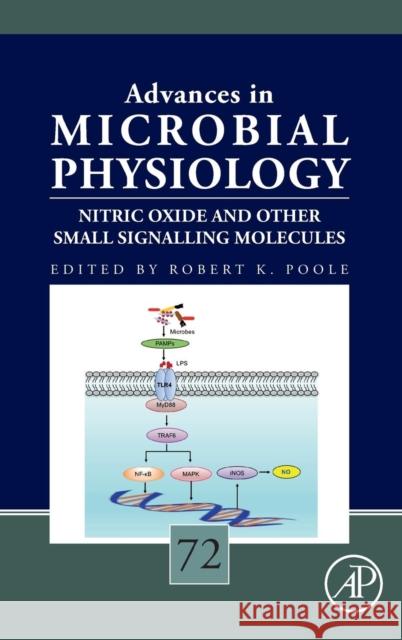 Nitric Oxide and Other Small Signalling Molecules: Volume 72 Poole, Robert K. 9780128144138 Academic Press - książka