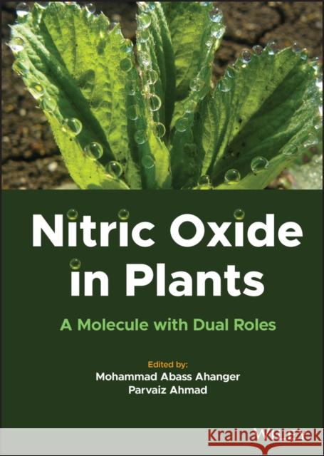 Nitric Oxide in Plants: A Molecule with Dual Roles Abass Ahanger, Mohammad 9781119800125 John Wiley and Sons Ltd - książka