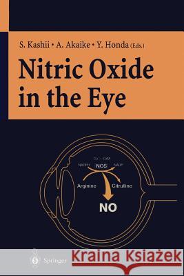 Nitric Oxide in the Eye S. Kashii, A. Akaike, Y. Honda 9784431680178 Springer Verlag, Japan - książka