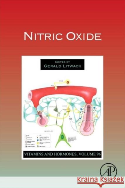 Nitric Oxide: Volume 96 Litwack, Gerald 9780128002544 Academic Press - książka