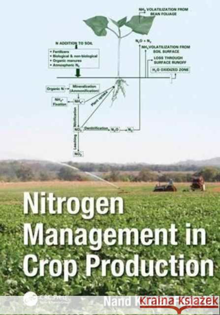 Nitrogen Management in Crop Production Nand Kumar Fageria 9781138034167 CRC Press - książka