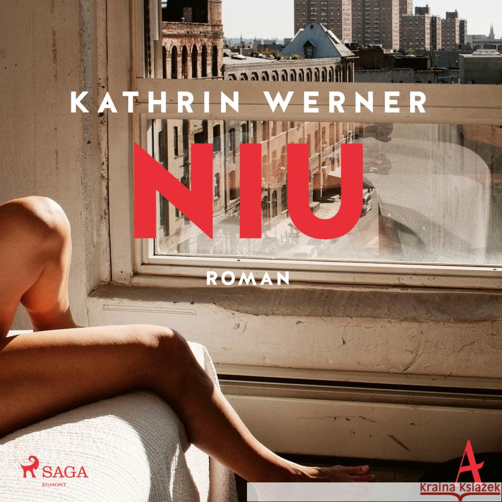 Niu, 1 Audio-CD, MP3 Werner, Kathrin 9783869749426 Steinbach sprechende Bücher - książka