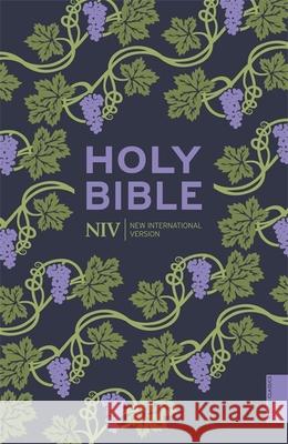 NIV Holy Bible (Hodder Classics) New International Version  9781473618947 John Murray Press - książka