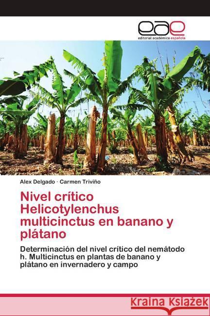 Nivel crítico Helicotylenchus multicinctus en banano y plátano Delgado, Alex; Triviño, Carmen 9783659038624 Editorial Académica Española - książka