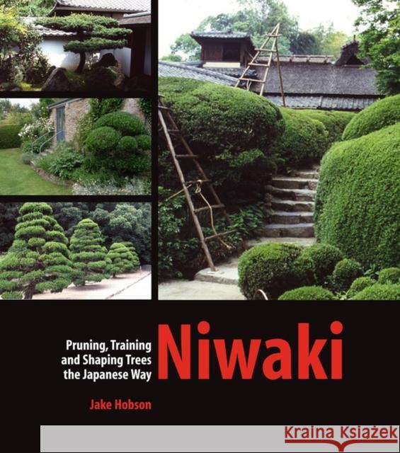 Niwaki: Pruning, Training and Shaping Trees the Japanese Way Jake Hobson 9780881928358 Workman Publishing - książka
