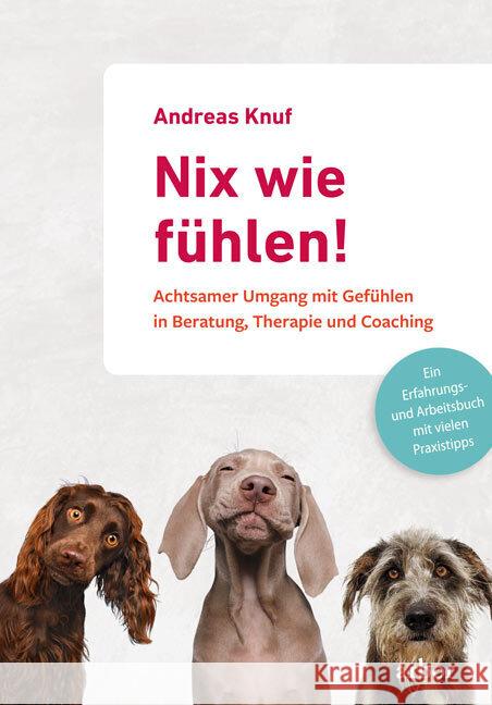 Nix wie fühlen! Knuf, Andreas 9783867812818 Arbor-Verlag - książka