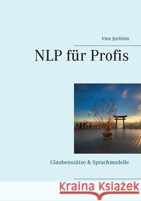 NLP für Profis: Glaubenssätze & Sprachmodelle Jochims, Inke 9783839198742 Books on Demand - książka