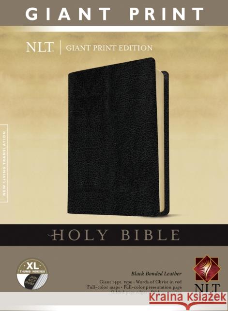 NLT Holy Bible, Giant Print, Black, Indexed Tyndale 9781414337517 Tyndale House Publishers - książka