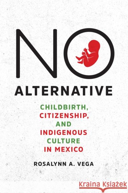 No Alternative: Childbirth, Citizenship, and Indigenous Culture in Mexico Rosalynn A. Vega 9781477316771 University of Texas Press - książka