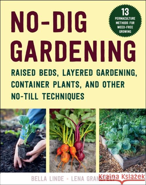 No-Dig Gardening: Raised Beds, Layered Gardens, and Other No-Till Techniques Bella Linde 9781510769045 Skyhorse Publishing - książka