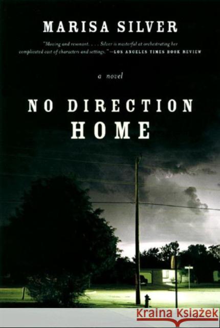 No Direction Home Marisa Silver 9780393328745 W. W. Norton & Company - książka
