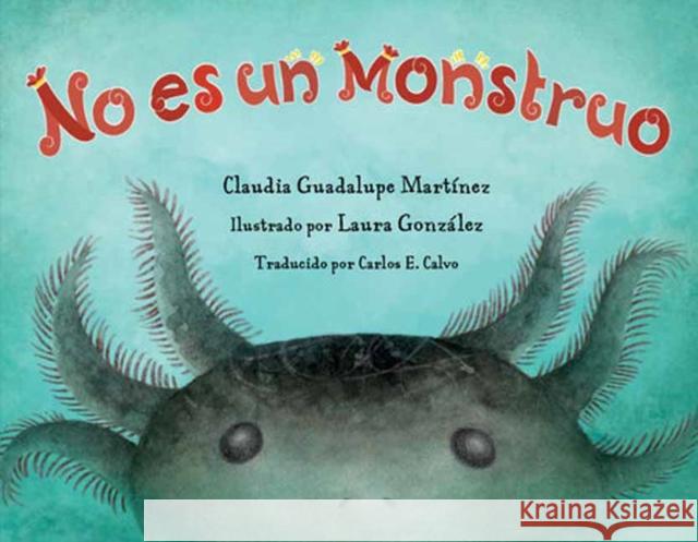 No es un monstruo  9781623544836 Charlesbridge Publishing - książka