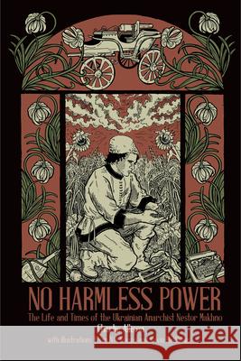 No Harmless Power Charlie Allison 9781629634715 PM Press - książka