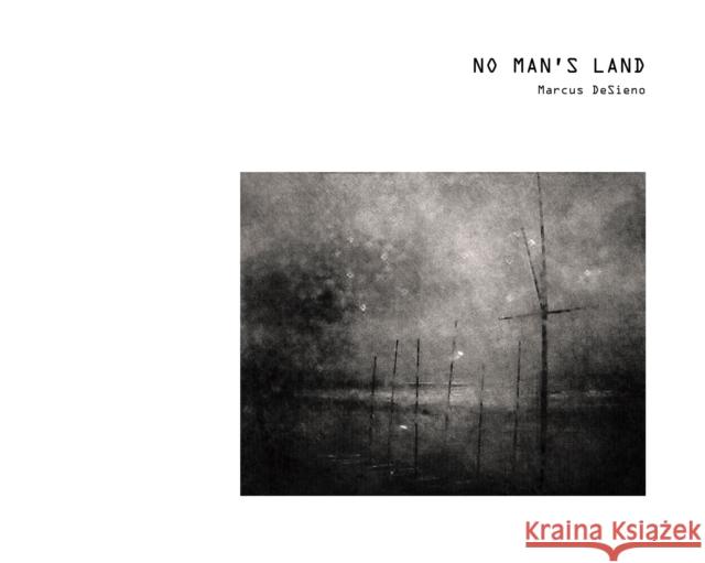 No Man's Land: Views from a Surveillance State  9781942084464 Daylight Books - książka