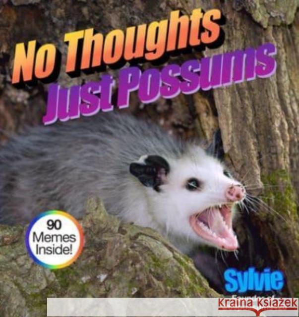 No Thoughts Just Possums Sylvie 9781454948490 Union Square & Co. - książka