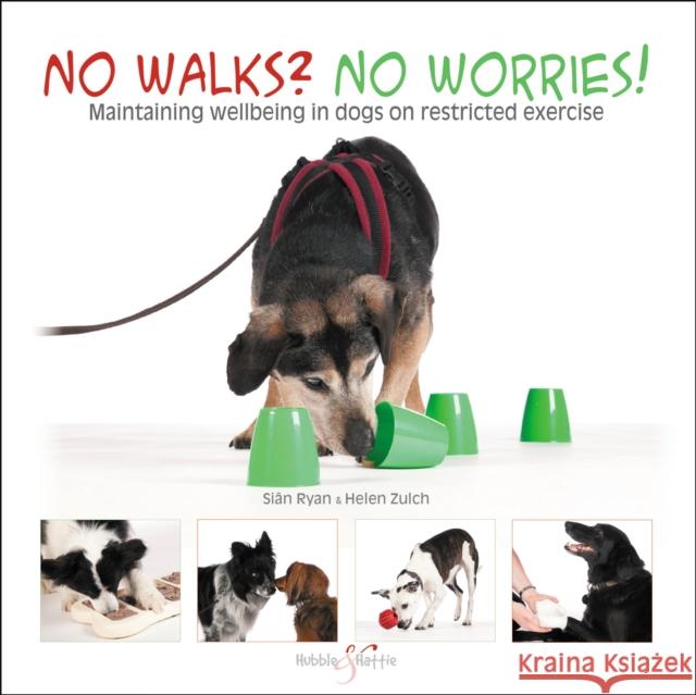 No Walks? No Worries!: Maintaining Wellbeing in Dogs on Restricted Exercise Sian Ryan 9781787115057 Hubble & Hattie - książka