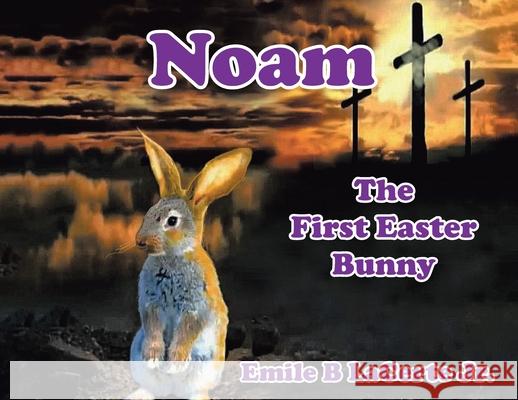 Noam-The First Easter Bunny Emile B Lacerte, Jr 9781098029463 Christian Faith - książka