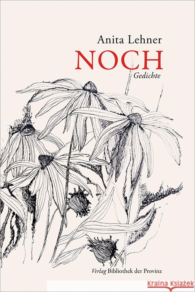 Noch Lehner, Anita 9783991263852 Bibliothek der Provinz - książka