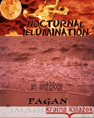 Nocturnal Illumination: An Anthology Kerry A. Morgan Steven N. Marshall Jason Hughes 9781449919399 Createspace - książka