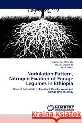 Nodulation Pattern, Nitrogen Fixation of Forage Legumes in Ethiopia Alemayehu Mengistu Fekadu Shemekite Fassil Assefa 9783659184338 LAP Lambert Academic Publishing - książka