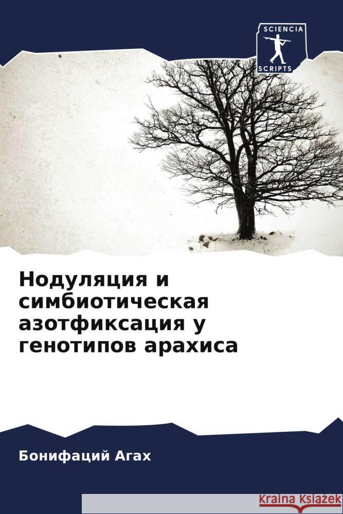 Nodulqciq i simbioticheskaq azotfixaciq u genotipow arahisa Agah, Bonifacij 9786206622673 Sciencia Scripts - książka