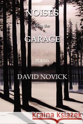 Noises from the Garage David Novick 9781469151557 Xlibris Corporation - książka