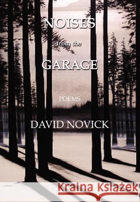 Noises from the Garage David Novick 9781469151564 Xlibris Corporation - książka