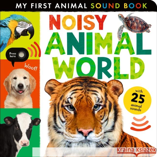 Noisy Animal World Hettie (Junior Editor - Cat Bespoke) Cox 9781838918590 Little Tiger Press Group - książka
