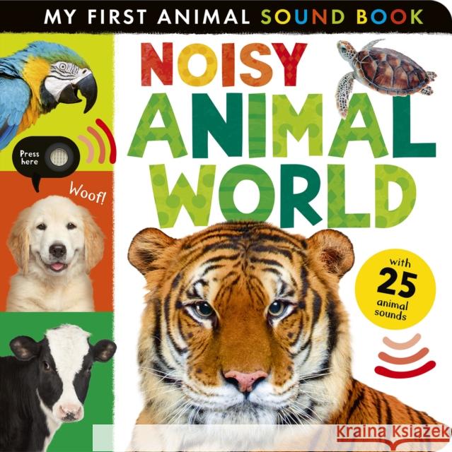 Noisy Animal World: My First Animal Sound Book Hettie Cox 9781664351660 Tiger Tales - książka