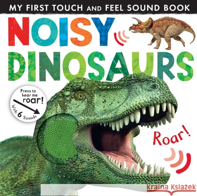 Noisy Dinosaurs Jonathan Litton 9781848691650 Little Tiger Press Group - książka