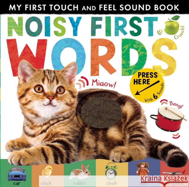Noisy First Words: My First Touch and Feel Sound Book Walden, Libby 9781848698499 Little Tiger Press Group - książka
