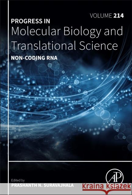 Non-Coding RNA: Volume 214 Prashanth N. Suravajhala 9780443343261 Academic Press - książka
