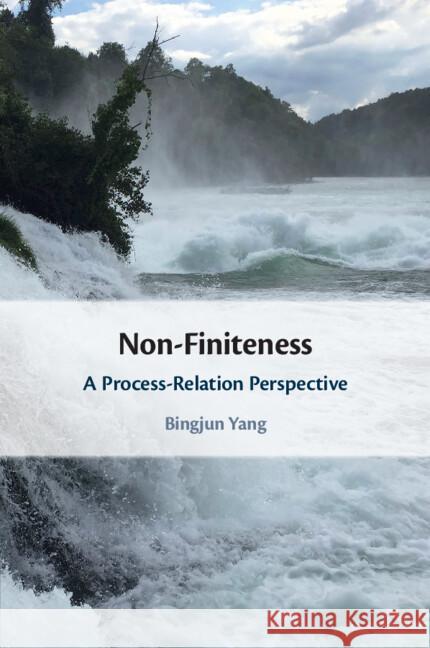 Non-Finiteness: A Process-Relation Perspective Bingjun (Shanghai Jiao Tong University, China) Yang 9781009073691 Cambridge University Press - książka