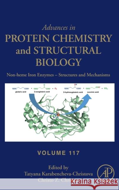 Non-Heme Iron Enzymes: Structures and Mechanisms: Volume 117 Karabencheva-Christova, Tatyana 9780128187739 Academic Press - książka