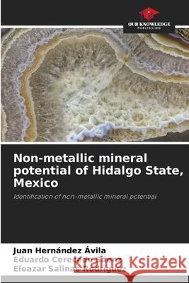 Non-metallic mineral potential of Hidalgo State, Mexico Hernández Ávila, Juan, Cerecedo Sáenz, Eduardo, Salinas Rodríguez, Eleazar 9786209078385 Our Knowledge Publishing - książka