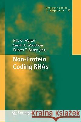 Non-Protein Coding Rnas Walter, Nils 9783642089800 Springer - książka