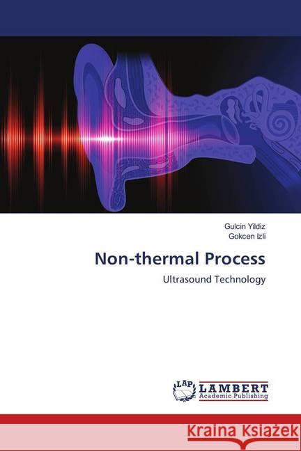 Non-thermal Process : Ultrasound Technology Yildiz, Gulcin; Izli, Gokcen 9783659973505 LAP Lambert Academic Publishing - książka