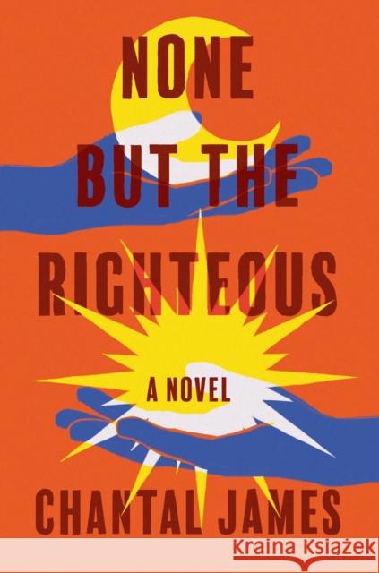 None But the Righteous: A Novel Chantal James 9781640094598 Counterpoint - książka