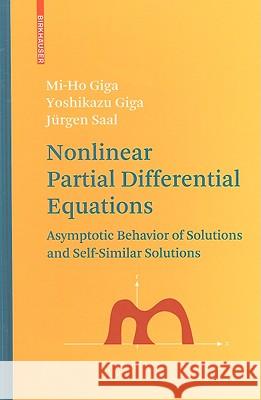 Nonlinear Partial Differential Equations: Asymptotic Behavior of Solutions and Self-Similar Solutions Giga, Mi-Ho 9780817641733 Springer - książka