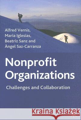 Nonprofit Organizations: Challenges and Collaboration Vernis, Alfred 9781403986351 Palgrave MacMillan - książka