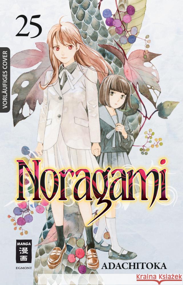 Noragami 25 Adachitoka 9783755500759 Egmont Manga - książka