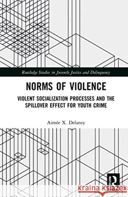 Norms of Violence: Violent Socialization Processes and the Spillover Effect for Youth Crime Aim Delaney 9780367254889 Routledge - książka