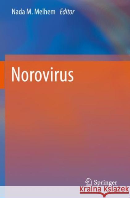 Norovirus Nada M. Melhem 9783030272111 Springer - książka