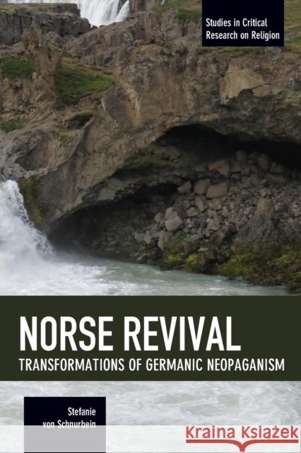 Norse Revival: Transformations Of Germanic Neopaganism: Studies in Critical Research on Religion Stefanie von Schnurbein 9781608467372 Haymarket Books - książka