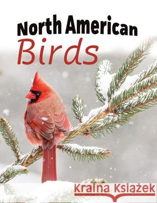 North American Birds Lasting Happiness 9781999548728 Lasting Happiness - książka