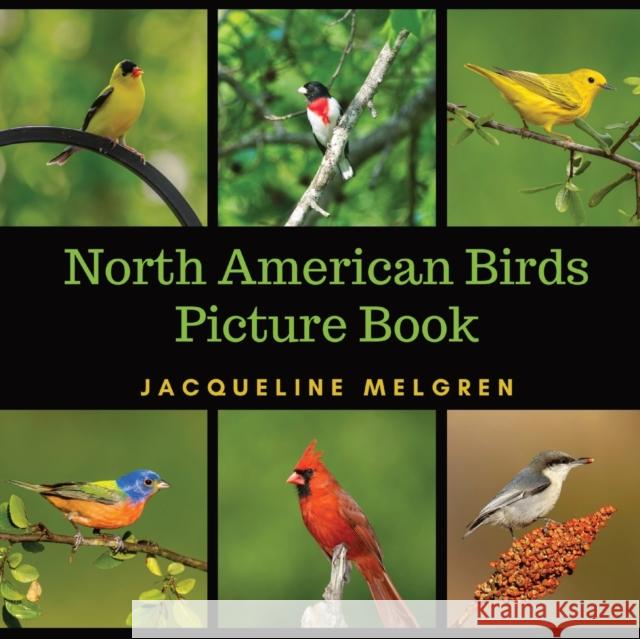 North American Birds Picture Book: Dementia Activities for Seniors (30 Premium Pictures on 70lb Paper With Names) Jacqueline Melgren 9789189452398 Adisan Publishing AB - książka