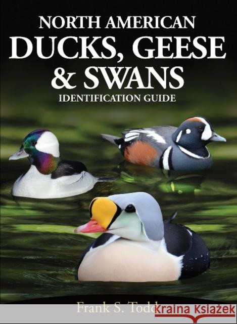 North American Ducks, Geese and Swans: an identification guide Frank Todd 9780888390936 Hancock House Publishers Ltd ,Canada - książka