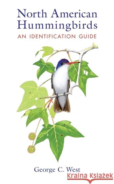 North American Hummingbirds: An Identification Guide George C. West 9780826337672 University of New Mexico Press - książka