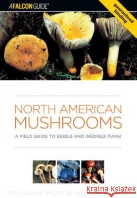 North American Mushrooms: A Field Guide to Edible and Inedible Fungi Orson K. Miller Hope H. Miller 9780762731091 Falcon Press Publishing - książka